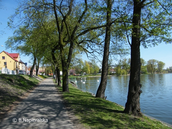 Miedzychód